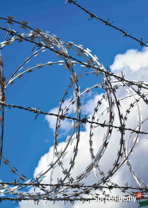 Drut kolczasty 25 mm ocynkowany rolka 4590180 mb Szczecin