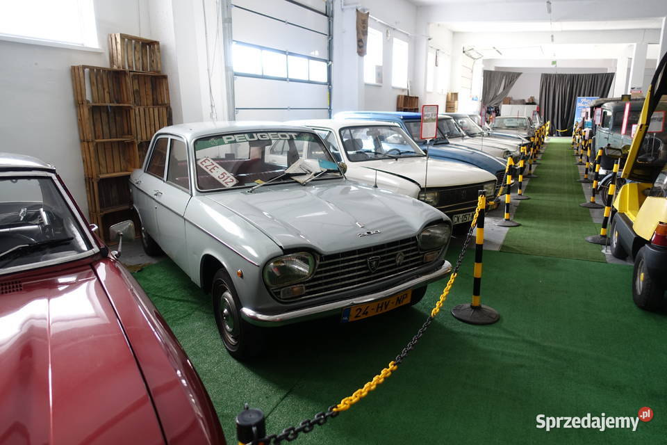 Peugeot 204 Super Stan Książka serwisowa Sprawny Zgierz