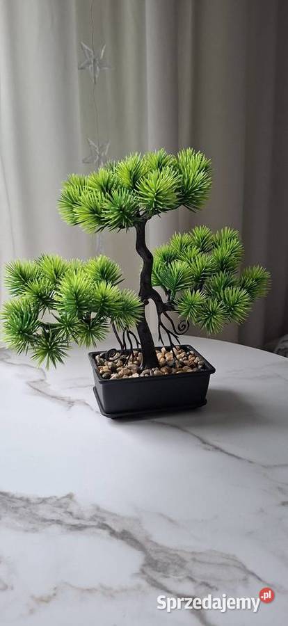 Sztuczne drzewko Bonsai w doniczce mazowieckie Małkinia Górna