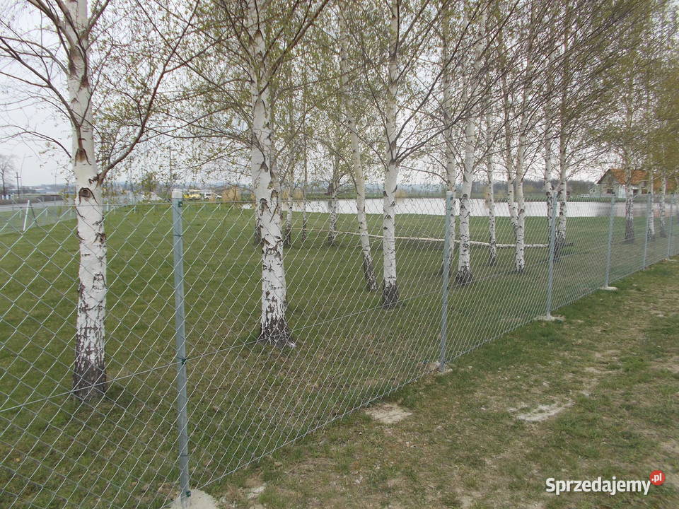 Siatka ogrodzeniowa ocynkowana 25mm oczko 60X60 Ostroszowice