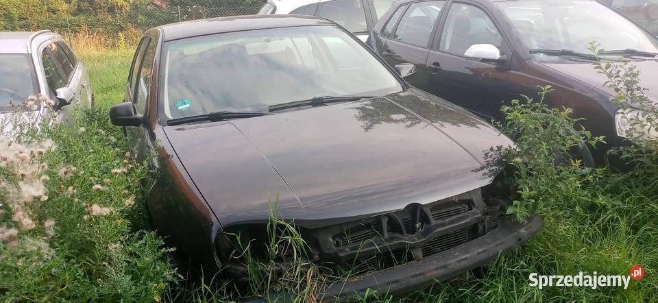 Golf 4 Słupsk