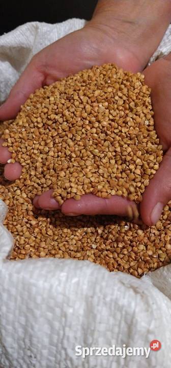 kasza gryczana Niedźwiada