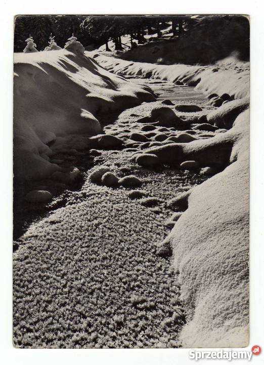 KARPATY POCZTÓWKA CZARNO BIAŁA Krynki