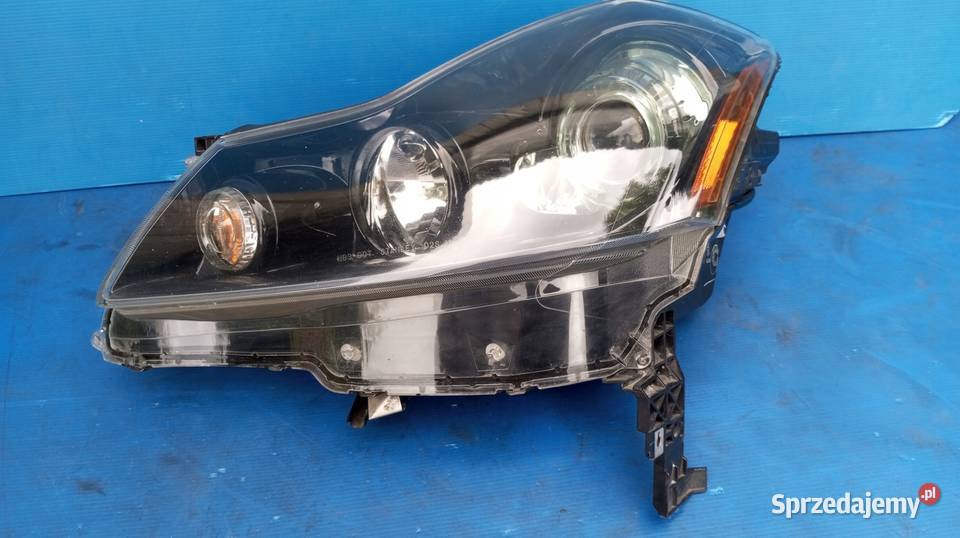 LAMPA REFLEKTOR LEWY PRZÓD INFINITI M35 M45 Lampy przednie wielkopolskie Nowy Tomyśl