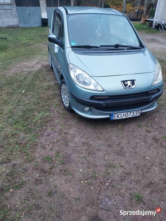 Peugeot 1007 2006 230km Gostynin