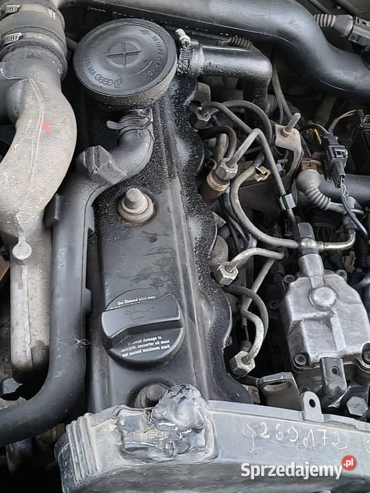 Silnik audi a4 osobowe Gołębiewko sprzedam