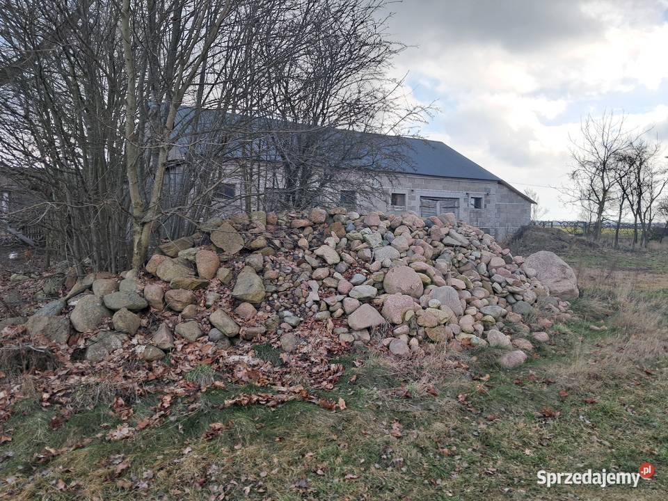 Kamień polny Zabłocie