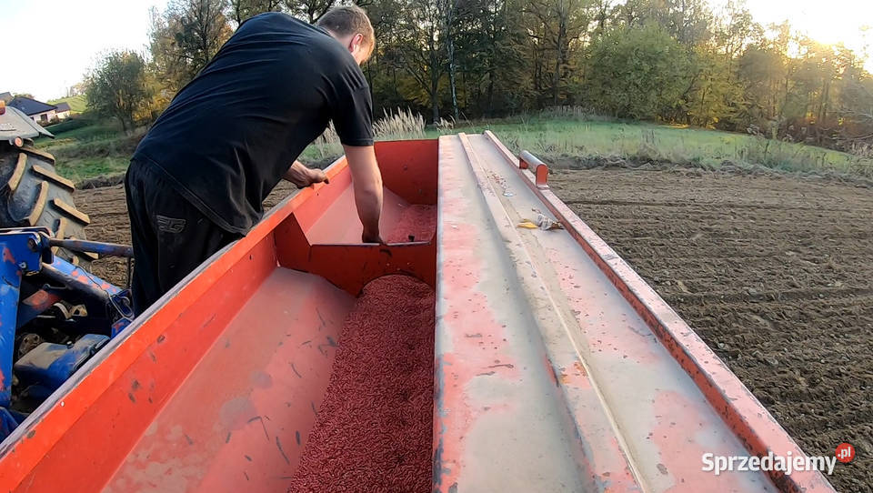 Siewnik 3m Isaria Hassia Amazone D7 poznaniak Jastrzębie-Zdrój