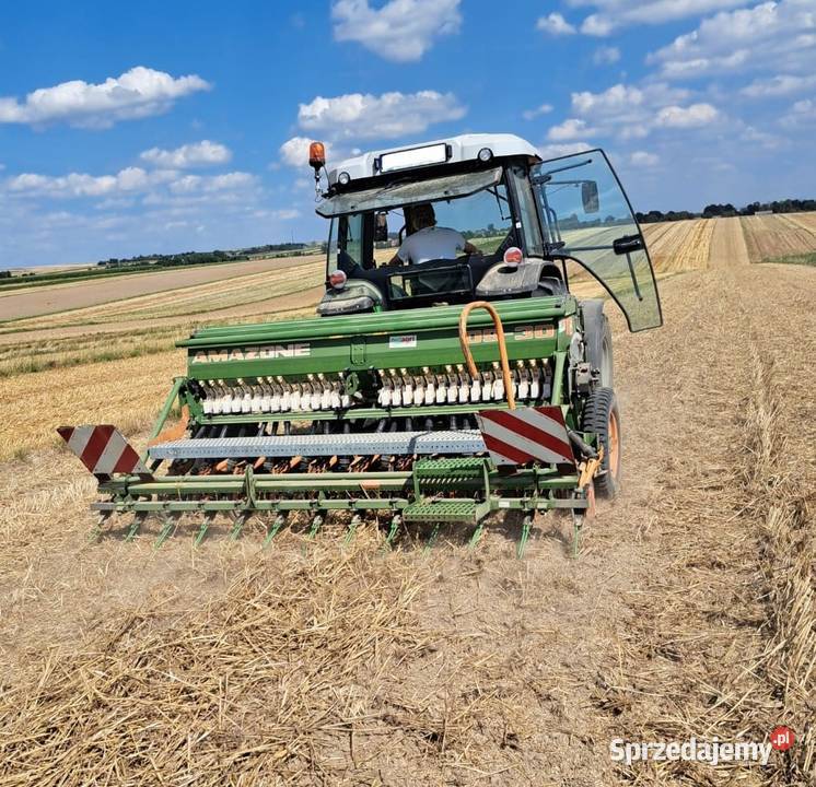 Siewnik Amazone D9 30 Talerzowy Amazone D8 nieuszkodzony Maszyny rolnicze Mostek sprzedam
