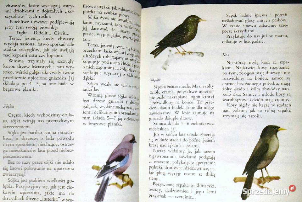 Razem ze słonkiem Złota jesień 4 Maria Kownacka Chełm