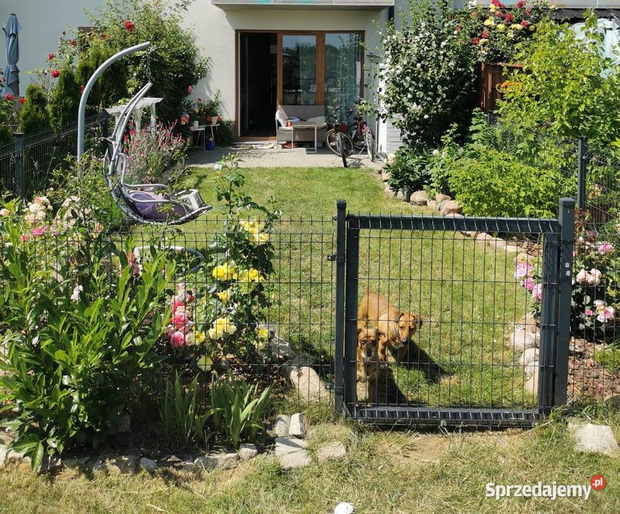 Mieszkanie WrocławSmolec Smolec sprzedam