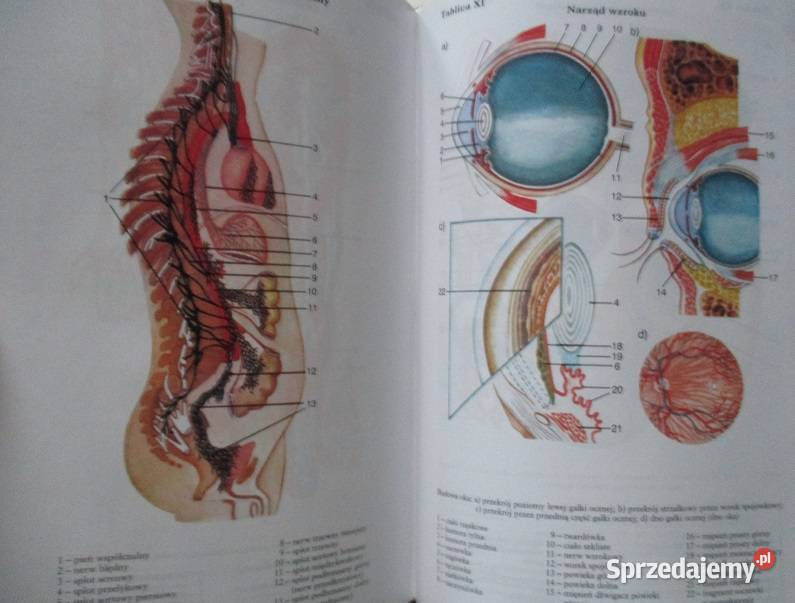 Atlas histopatologii skóry Woźniak Giryn skóra łódzkie Łódź
