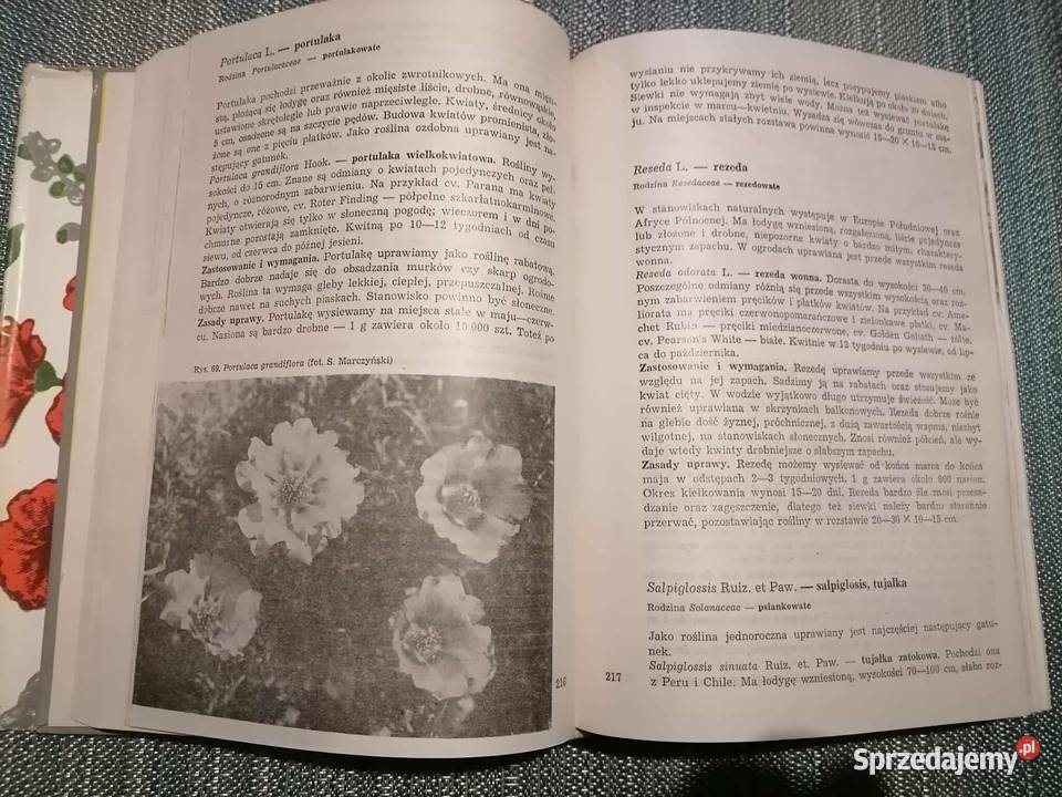 Uprawa Roślin Ozdobnych Pozostałe dolnośląskie Wałbrzych