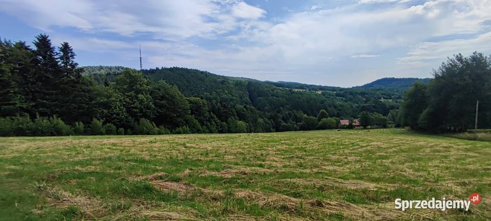 działka budowlana utwardzona podkarpackie Krosno sprzedam