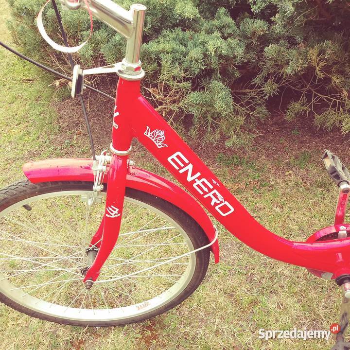 Rower trójkołowy rehabilitacyjny Milicz