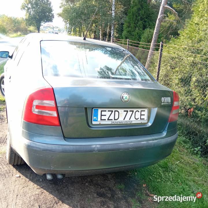Skoda Octavia II 19TDI sprawny rej 2005