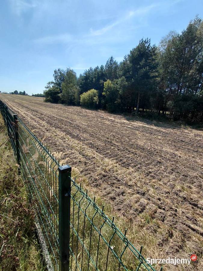 Agregat ścierniskowy gruber euromasz Maszyny uprawowe Wola Czaryska sprzedam