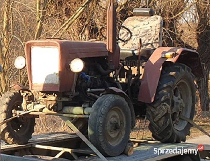 Silnik kompletny Zetor Majorek Major 3011 3 Łańcut