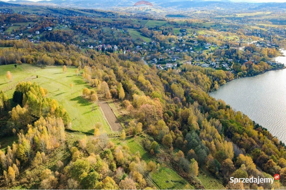 Działka leśna 862 m w Oczkowie 0m Sprzedaż Żywiec