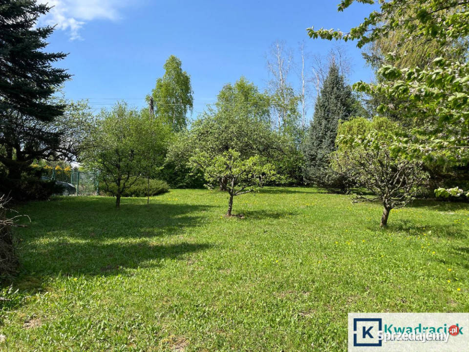 Dom wolnostojący 100m2 Zarzecze 3245m2