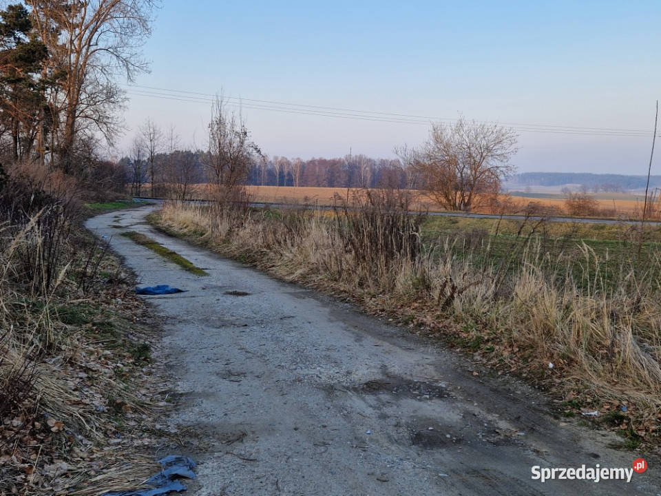 Nieruchomość na sprzedaż 23417m2 Kamiennik