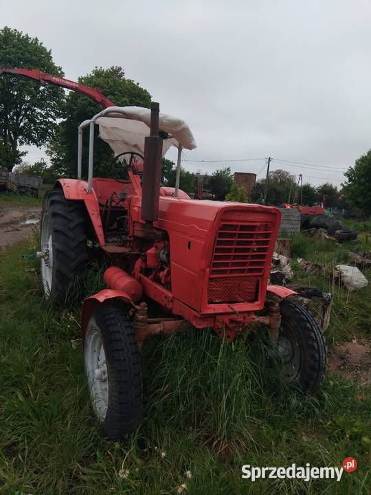 Ciagnik mtz i fordson major Damnica