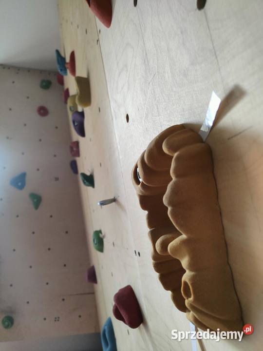 Ścianka wspinaczkowa do domu Wrocław