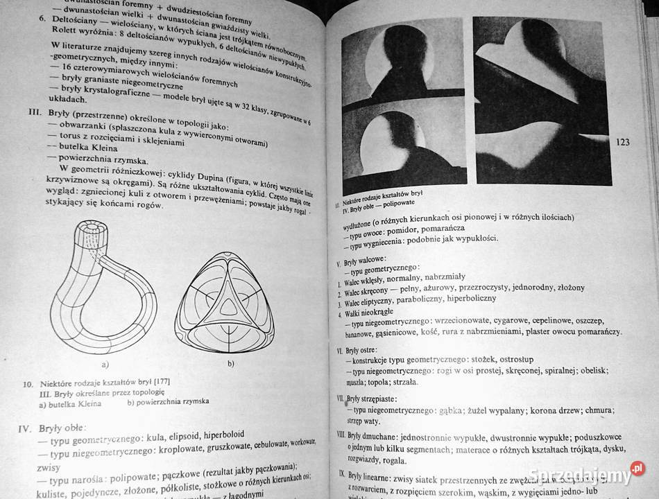 Współczesna koncepcja wychowania plastycznego Chełm sprzedam