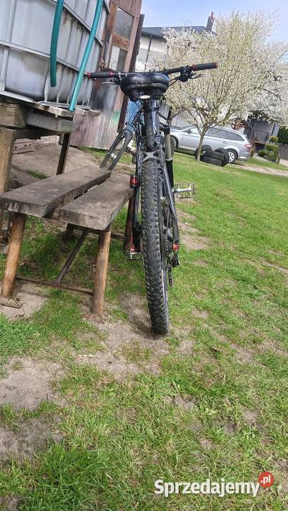 Cube AMS 125 pro series Hedwiżyn