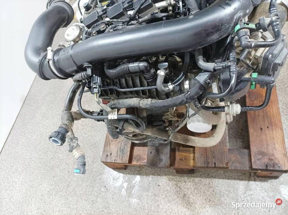 SILNIK KOMPLETNY BENZYNA SFCF KL62723 10 świętokrzyskie