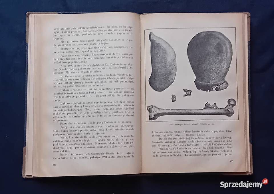 Dr C Pakuckas Kas me asame Żinijos Kaunas 1932 r Antykwariat wielkopolskie Koźminek