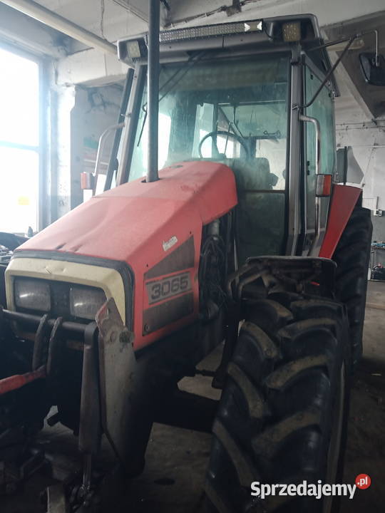 Massey Ferguson traktor Tychy sprzedam