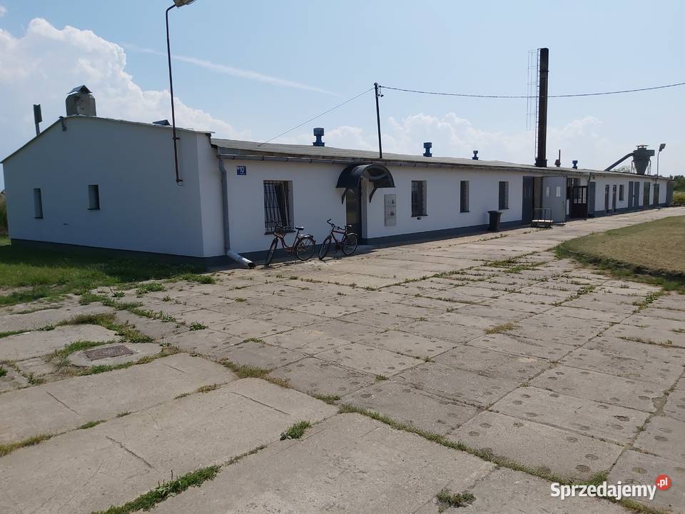 Wynajmę halę produkcyjną stolarnię maszyny Wynajem pomorskie Gdańsk