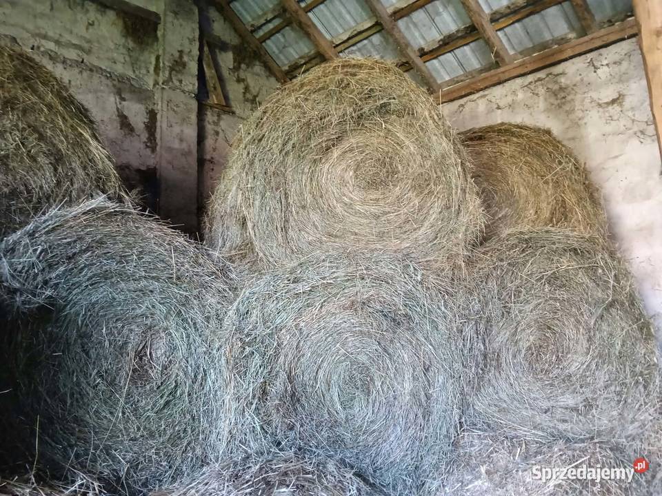 Siano balot kostka łódzkie sprzedam