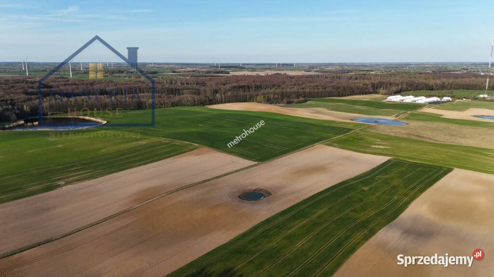Działka rolna w Limży 1375 ha polna Limża