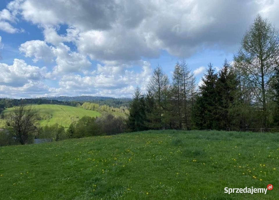 Dom na sprzedaż miejscowość Czarna powiat