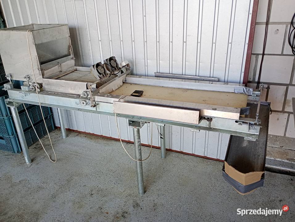 Sortownik do borówki Pozostałe mazowieckie Zwoleń