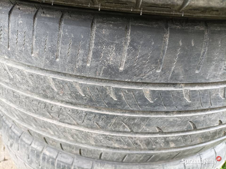 Opony całoroczne FALKEN ZIEX CT60 AS 22555 R19 Samochodowe Marki