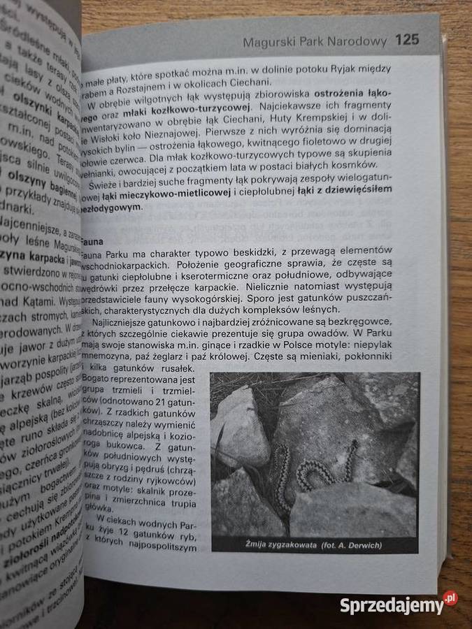 Beskid Niski prawdziwego Turysty Rewasz Kraków