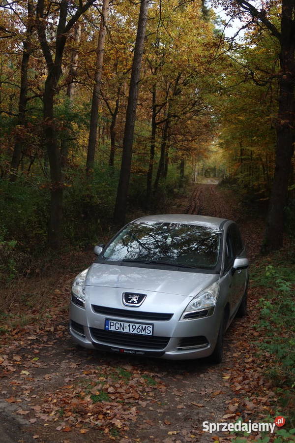 PEUGEOT 5008 Gniezno