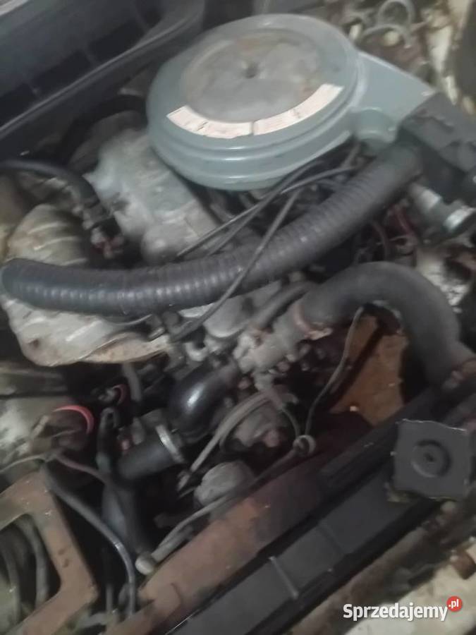 Polonez borewicz 1.5 świętokrzyskie Działoszyce