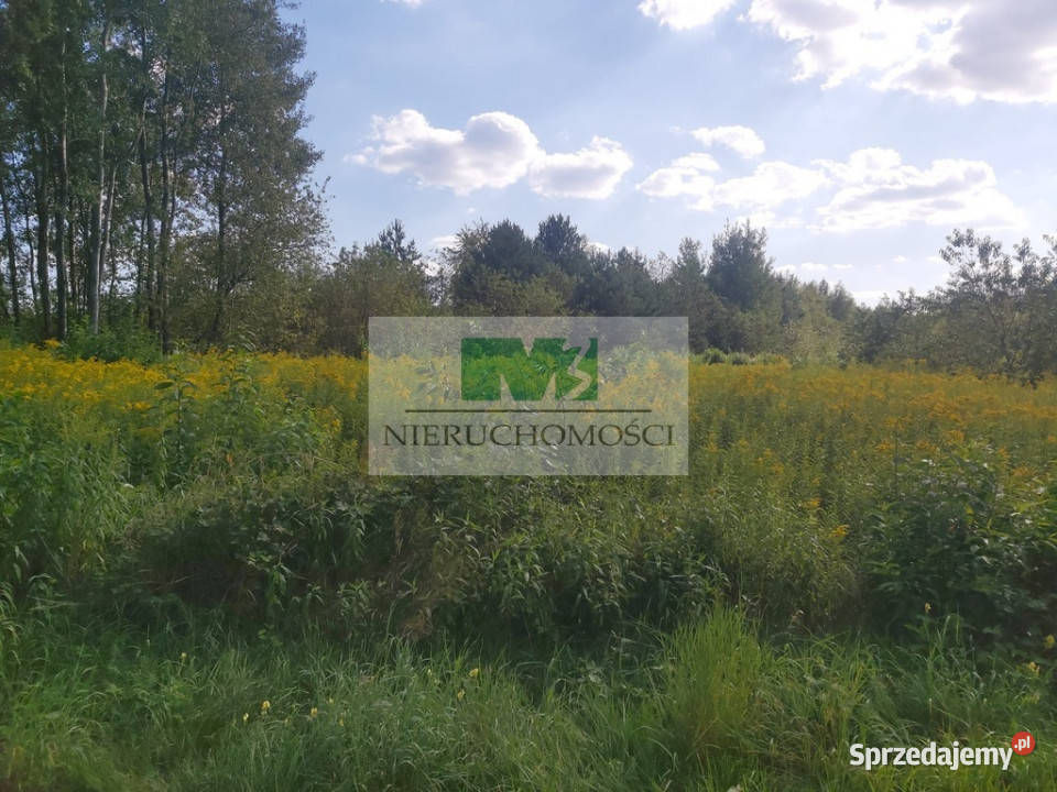 DO SPRZEDAŻY DZIAŁKA W WOLI ZARCZYCKIEJ Z WZ Wola Zarczycka