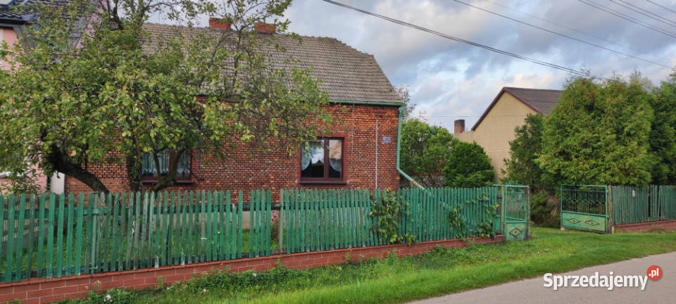 Dom z cegły z dużą działką budynki gospodarcze Wojsławice