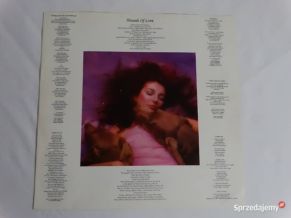Kate Bush Hounds Of Love Format Vinyl LP Album 1 płyta Biłgoraj