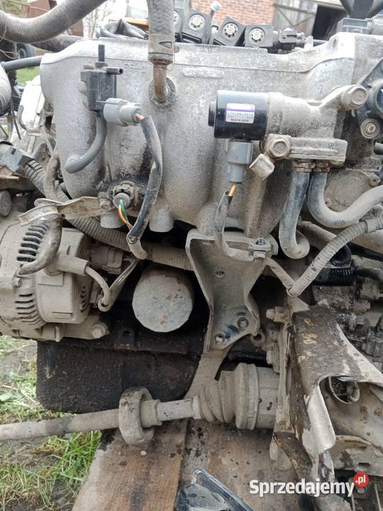 Silnik honda Civic VI angielka 14 16V D14A2 Wyszków sprzedam