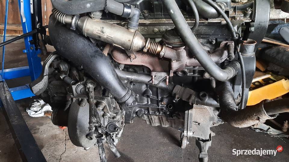 silnik kompletny 22 JTD HDI Fiat ulysse 232 4HW osobowe Korzeńsko