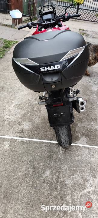 Honda cb500x Kalisz