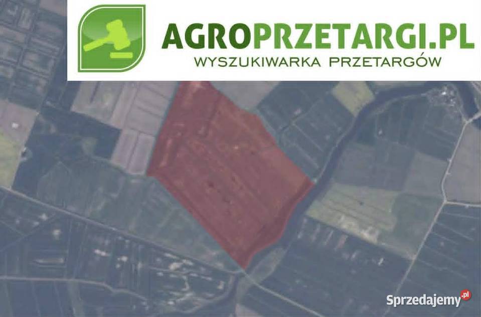 Dzierżawa 3389 ha gruntu rolnego Nowy Dwór Gdański sprzedam