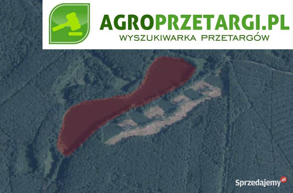 Dzierżawa 628 ha jeziora Myślibórz