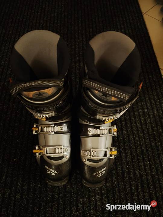 Buty narciarskie Dalbello 43 Wałbrzych